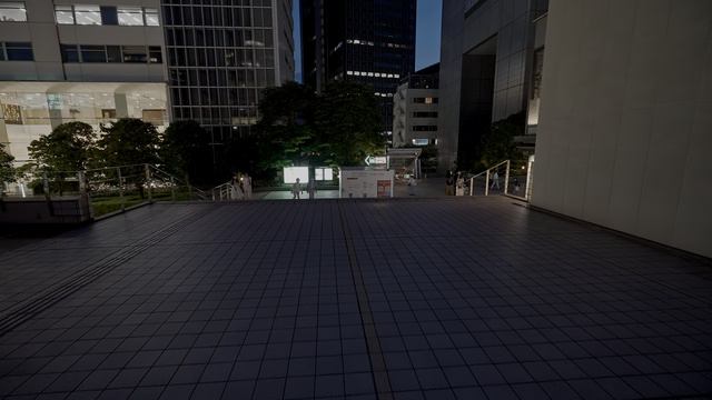 2K・Прогулка по ночному Синдзюку, Токио