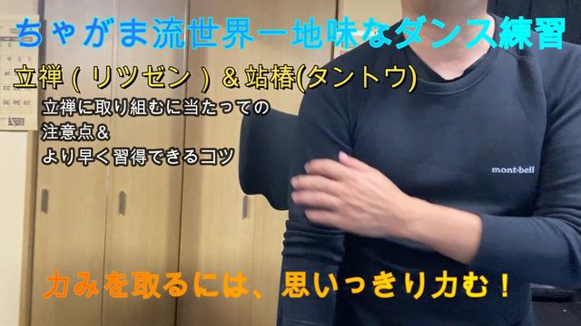 立禅（站椿功・桩功）＝全身スナップ腱群統一体＆腰式呼吸 смотреть онлайн