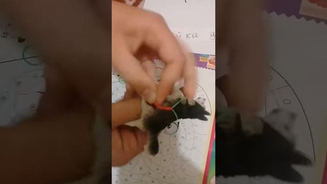 Шлейка для собак шляйх и коллекта смотреть онлайн