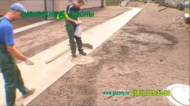 Газоны в рулонах. Новосибирск. Газон своими руками. Озеленение смотреть онлайн