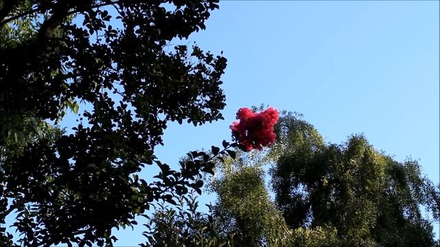 Test Video Canon T4i смотреть онлайн