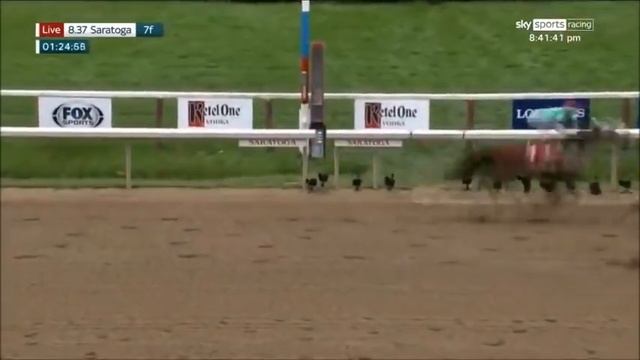 Incredible moment racehorse tries to bite rival close to finish line! смотреть онлайн
