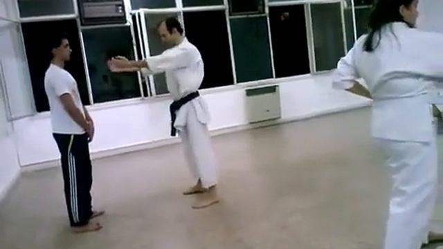 Gohon Kumite Practica Shin-Kan Dojo смотреть онлайн