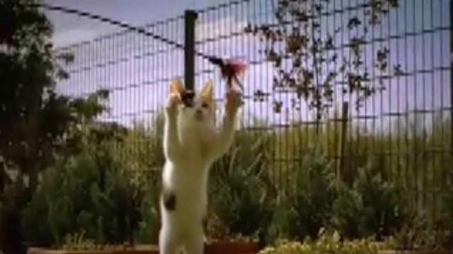  !!!грация !!! смотреть онлайн