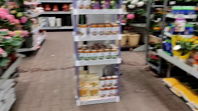 Первый раз без покупок из Оби