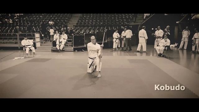 Fudokan Karate 8th World Championship Germany Sindelfingen 2019