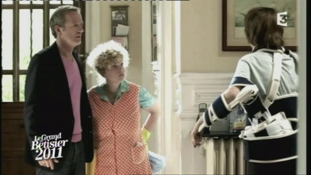 Fais Pas Ci Fais Pas Ca