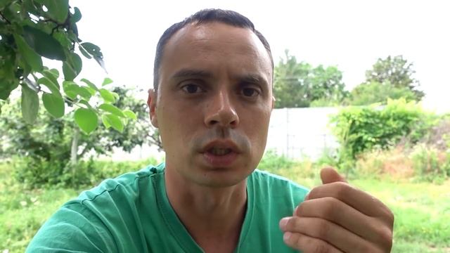 НАТУРАЛЬНОЕ СРЕДСТВО ОТ ТЛИ КОТОРОЕ РЕАЛЬНО РАБОТАЕТ! ОБРАБОТКА И РЕЗУЛЬТАТ ЧЕРЕЗ 24 ЧАСА! смотреть онлайн