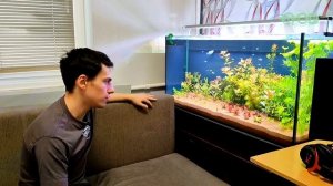 АКВАРИУМ травник Ильи! 2 часть