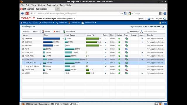 Managing oracle database tablespaces part II смотреть онлайн