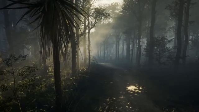 TE AWAROA National Park |Новый заказник! The Hunter: Call of the Wild смотреть онлайн