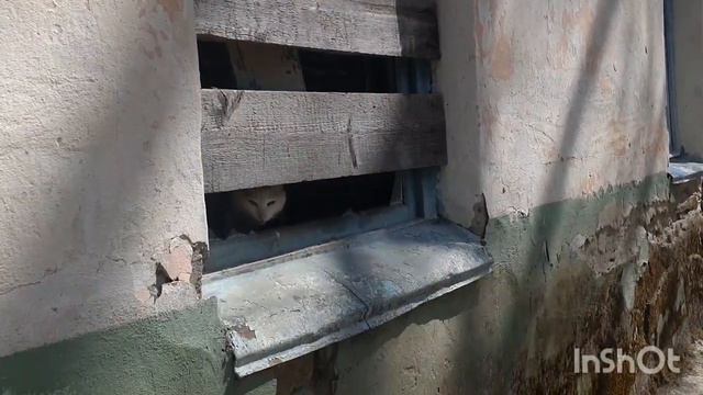 Архыз апрель 2022 смотреть онлайн