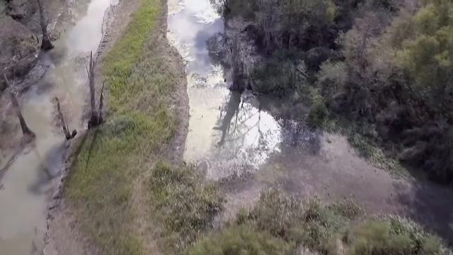 Protect North America's Largest Swamp: The Atchafalaya River Basin смотреть онлайн