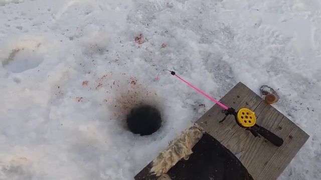 Рыбалка в Казахстане. Ловим щуку покрупнее на Селетинском водохранилище. смотреть онлайн