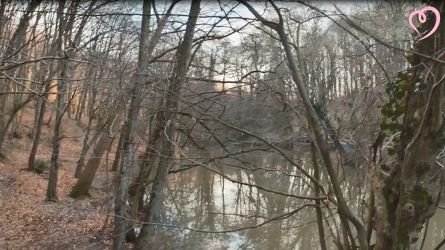 Мелис и Кадир-о любви смотреть онлайн