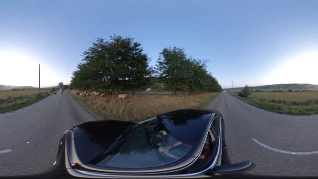 360° VR Flock of Sheaps Block The Road Travel in România Holiday 6K Virtual Adventure Reality HD 4 смотреть онлайн