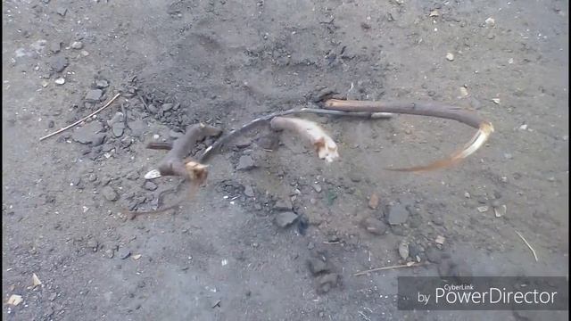 Как разжечь костер с 1 спички смотреть онлайн