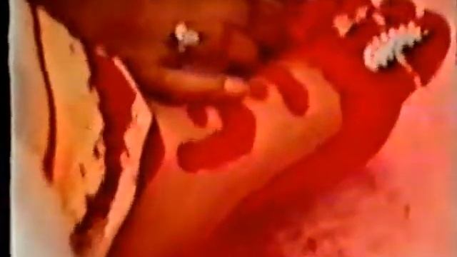1988 0710 Hamsa Chakra Puja H H Shri Mataji Nirmala Devi at Germany Ай Гири Нандин смотреть онлайн