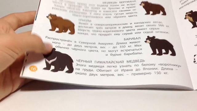 НОВЫЙ журнал для детей "Животные Леса" от DeAGOSTINI с игрушками Медведя и Оленёнка. Обзор НОВИНКИ! смотреть онлайн