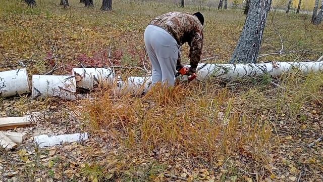 Собираем валежник на дрова смотреть онлайн