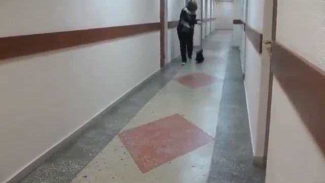 Русская Салонная ( Дарк ): Хай Меджик Юджиния, зав. вл. Андреева О. смотреть онлайн