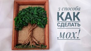 3 СПОСОБА КАК СДЕЛАТЬ МОХ! ДЕЛАЕМ 3D КАРТИНУ!