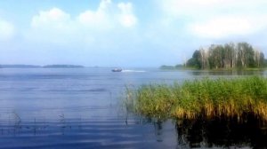 Риб Буревестник 530 и мотор Сузуки 70 скорость на воде 73 км/ч река Волга 28.07.2016 год