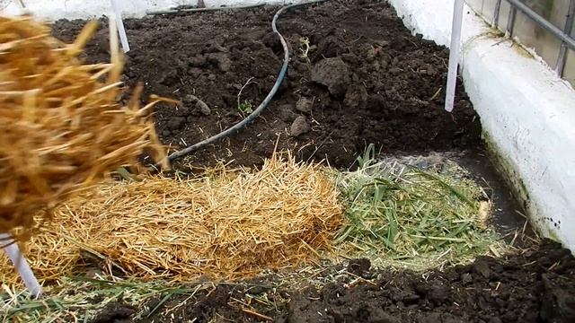 Как легко и дешево улучшить почву в теплице ? смотреть онлайн
