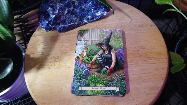 Everyday Witch Oracle Unboxing and Flipthrough | @ManifestbyDestiny смотреть онлайн
