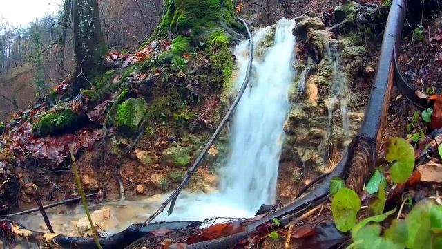 ЛЕЧЕБНАЯ МУЗЫКА ДЛЯ СНИЖЕНИЯ СТРЕССА И УСТАЛОСТИ смотреть онлайн