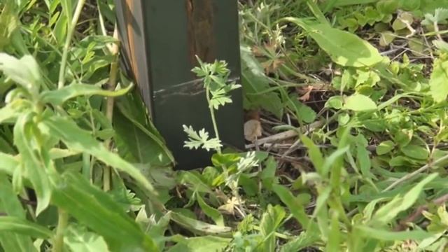 Как забить столбы. Отбойный молоток ADA Ground Hammer 3 смотреть онлайн