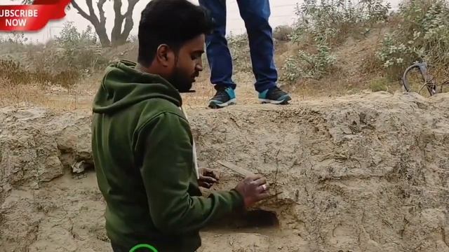 Quest Q30 Gold Metal Detector Live Demo Depth test / Best Metal Detector смотреть онлайн