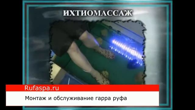 Рыба гарра руфа смотреть онлайн