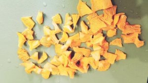 Как есть сырые лисички. Салат из сырых лисичек.