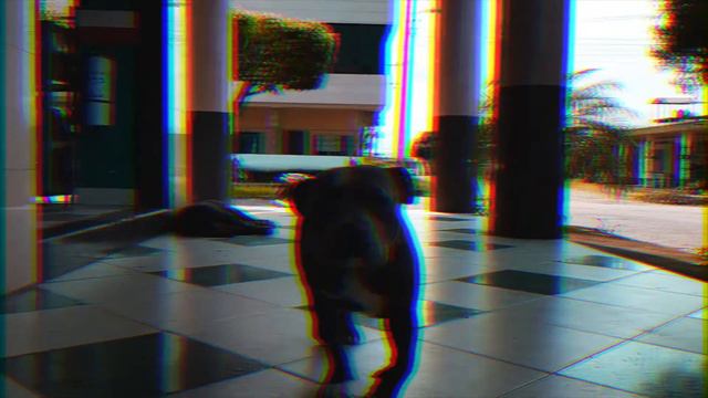 Bluekeend Pitbull / 2018 смотреть онлайн