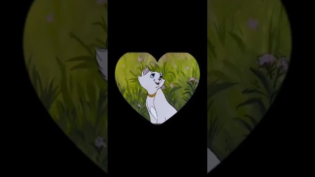 Надесь мне это не снится ?#котыприколы#сны#мультик#cat#shorts#love#video#like смотреть онлайн