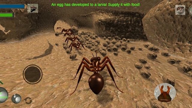 Ant Simulation 3D - Myrmecia (Bulldog Ant) - Gameplay Part 3 смотреть онлайн