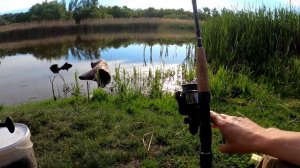 ?  Рыбалка на сома весной с берега. Разведка новых мест. #DENLife