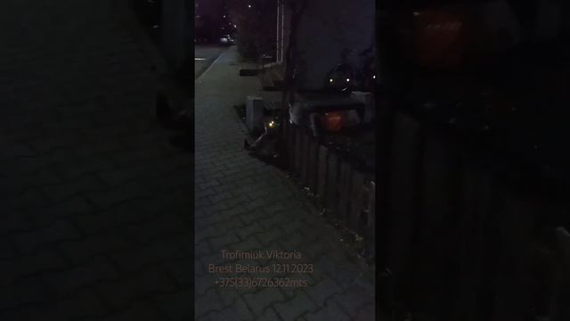 Ночные тусовщики.... А у нас во дворе.... смотреть онлайн