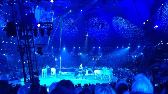 44-й Международный цирковой фестиваль.2020. Ivan Knie. Liberté. смотреть онлайн