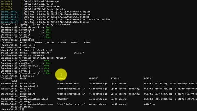 Laravel Sailでdocker upする смотреть онлайн