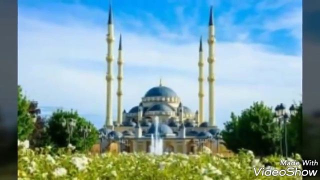 Чеченцы / обычаи / вайнахов всегда везде узнают смотреть онлайн