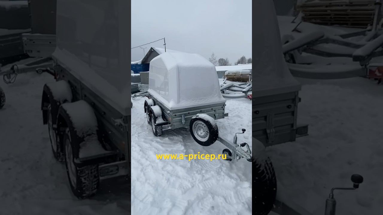 Двухосный прицеп 2,5м кат.В МЗСА 817730 АРИВА Уфа Казань Н Челны Чебоксары Ижевск #прицеп #мзса смотреть онлайн
