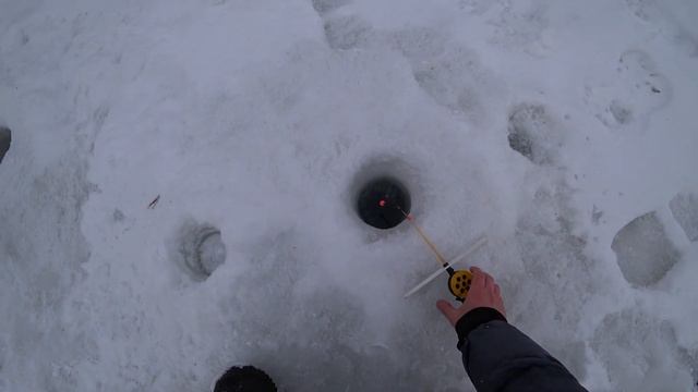 Ловля ХАРИУСА на Зимовальной ЯМЕ/ На этой РЕКЕ есть Крупнячок/ РЫБАЛКА 3 Января 2024г!!! смотреть онлайн