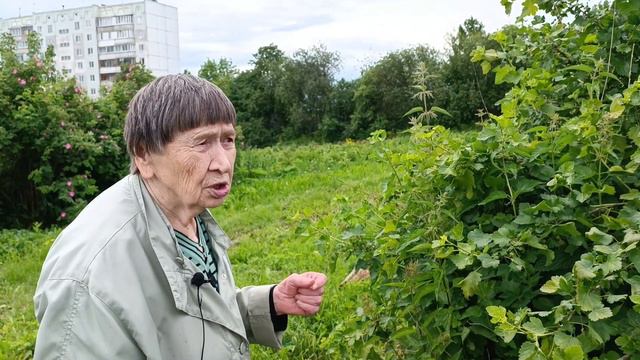 Крыжовник. Как правильно сформировать.