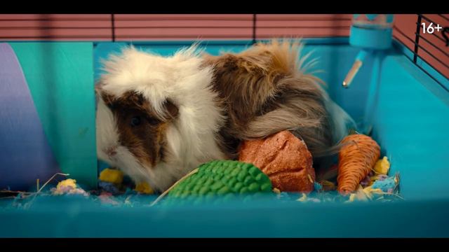 Через год в это же время — Русский трейлер (2024) смотреть онлайн