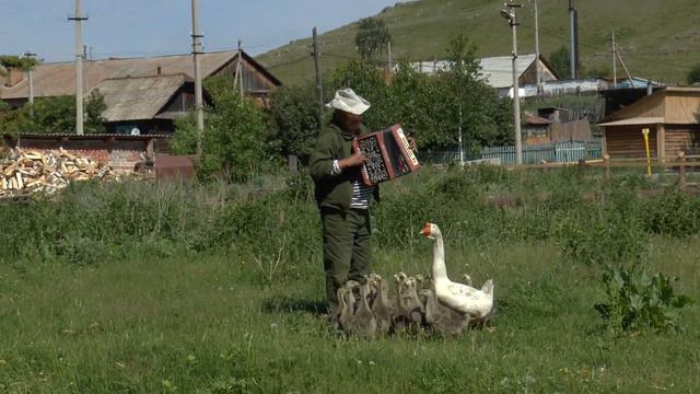 Гармошка, гуси и поющий пес. Башкортостан, Учалы, Комсомольск. смотреть онлайн