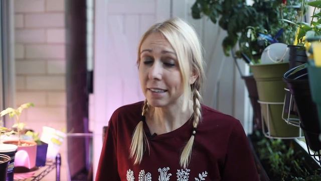 Are Mosquito Bits (BTI) SAFE for organic vegetable gardens? Bacillus thuringiensis for fungus gnats смотреть онлайн