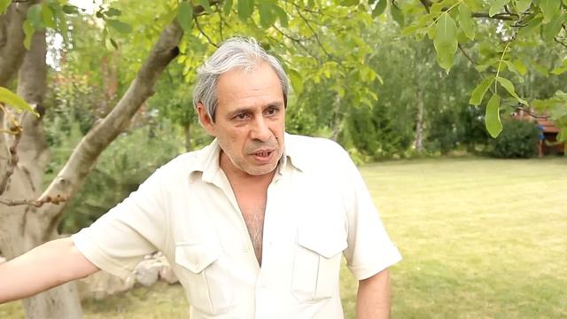 РОЖИ БУДУТ ТЕ ЖЕ! - закарпатец о Верховной раде и 5-ой колоне смотреть онлайн