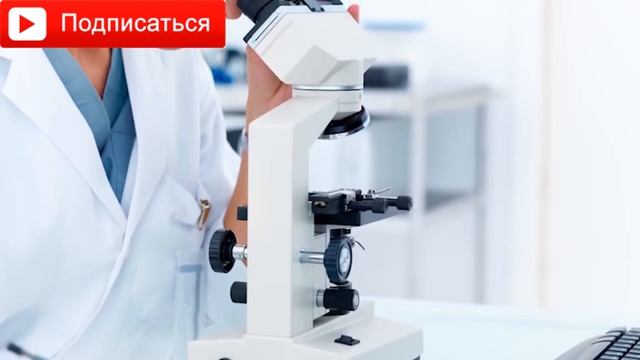 10 способов стать умнее, укрепить свой мозг и повысить работоспособность. 10 sposobov смотреть онлайн